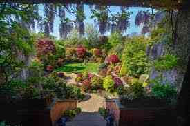 Home and gardens